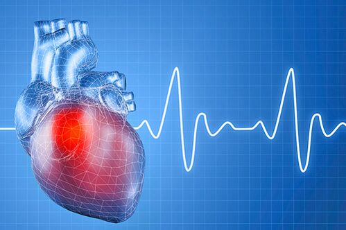 L’hypertension, qui a de multiples causes, entraîne des altérations du fonctionnement du cœur. 